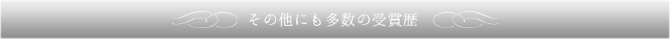 その他にも多数の受賞歴