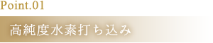 Point1 高純度水素打ち込み